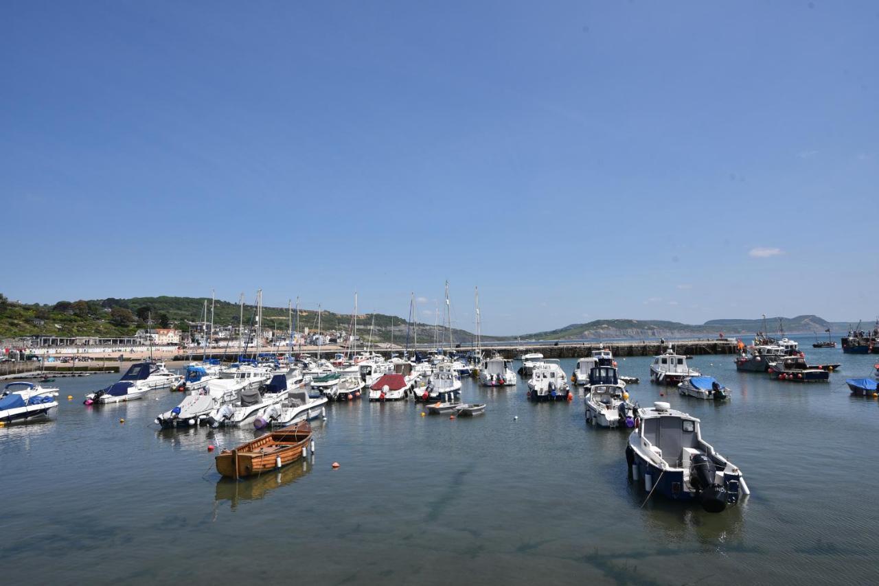 Fawley Βίλα Λάιμ Ρέγκις Εξωτερικό φωτογραφία